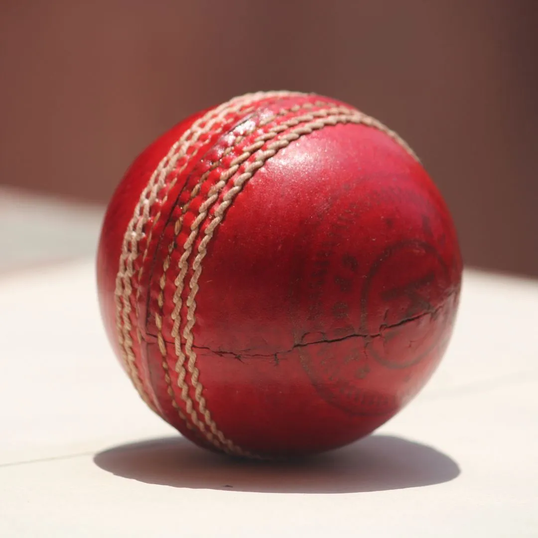 Cricket